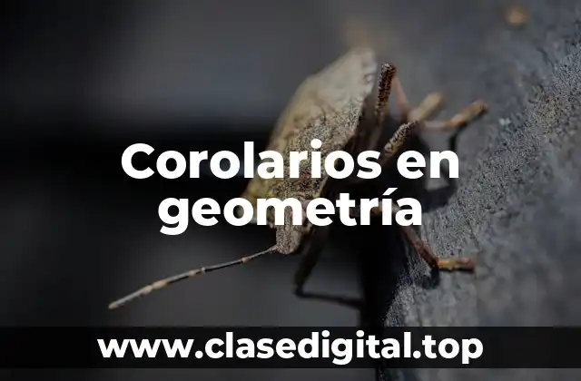 Corolarios en geometría