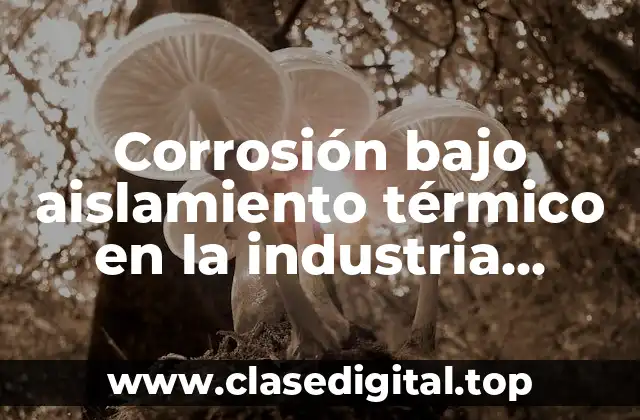 Corrosión bajo aislamiento térmico en la industria petrolera
