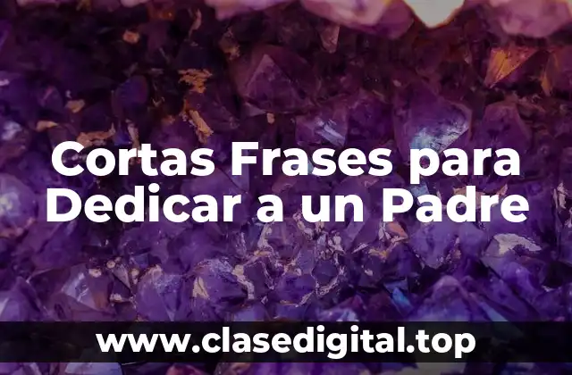 Cortas Frases para Dedicar a un Padre