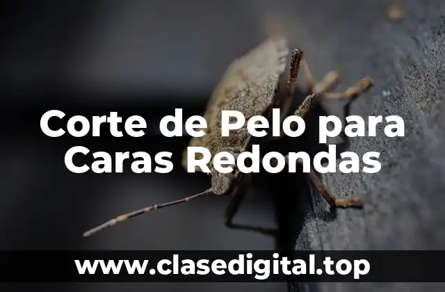 Corte de Pelo para Caras Redondas