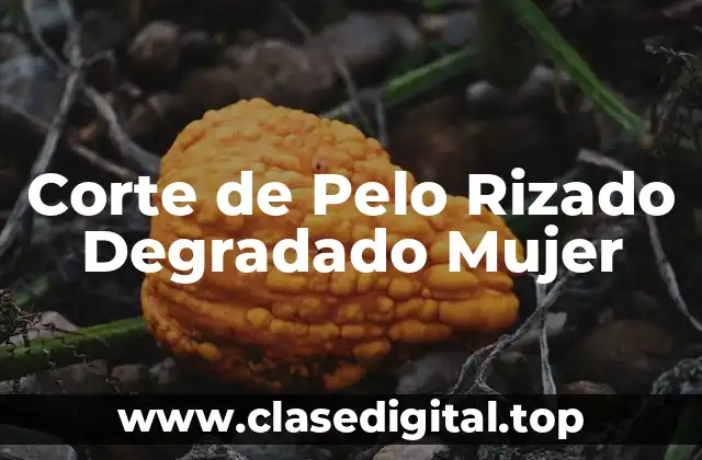 Corte de Pelo Rizado Degradado Mujer