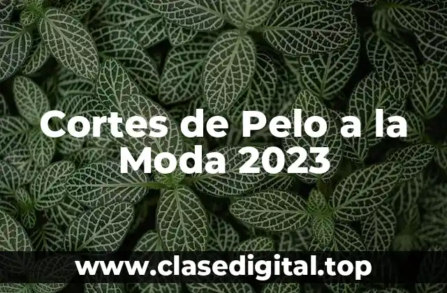 Cortes de Pelo a la Moda 2023