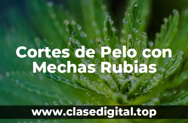 Cortes de Pelo con Mechas Rubias