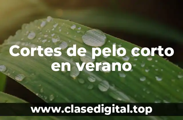 Cortes de pelo corto en verano