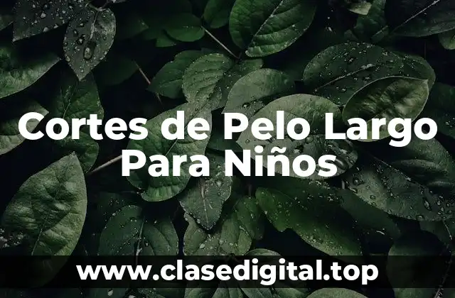 Cortes de Pelo Largo Para Niños