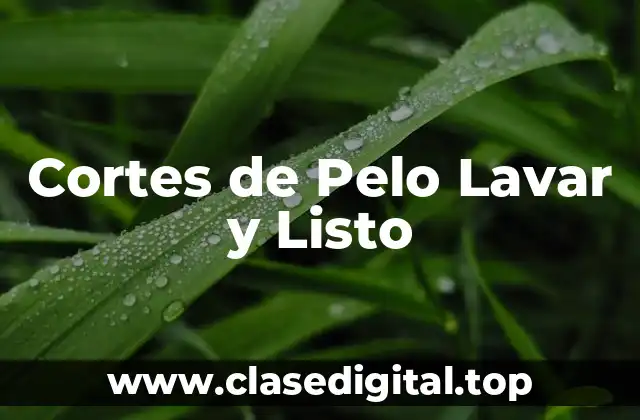 Cortes de Pelo Lavar y Listo