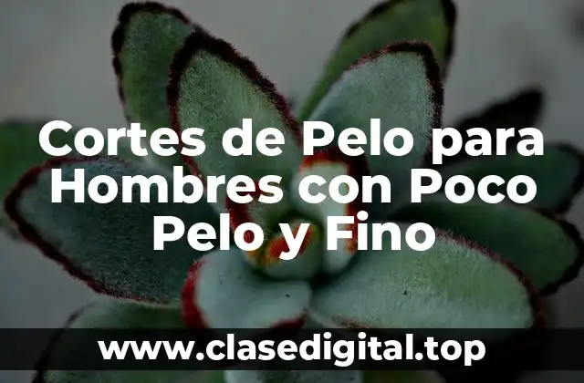 Cortes de Pelo para Hombres con Poco Pelo y Fino