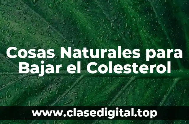 Alimentos que Bajan el Colesterol de Forma Natural