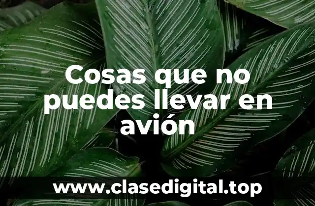 Cosas que no puedes llevar en avión