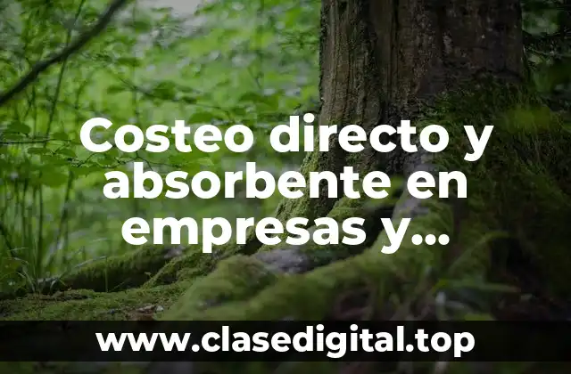 Costeo directo y absorbente en empresas y Significado