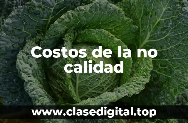 Costos de la no calidad
