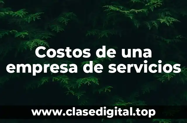 Costos de una empresa de servicios