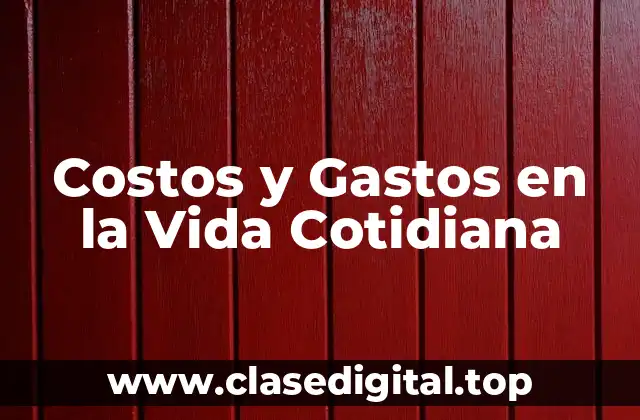 Costos y Gastos en la Vida Cotidiana