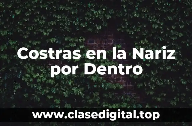 Costras en la Nariz por Dentro