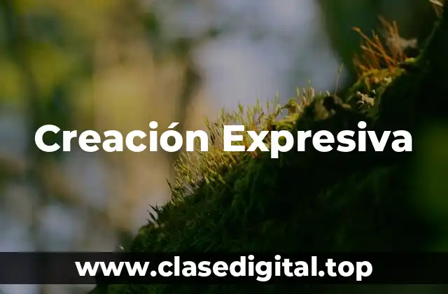 Creación Expresiva