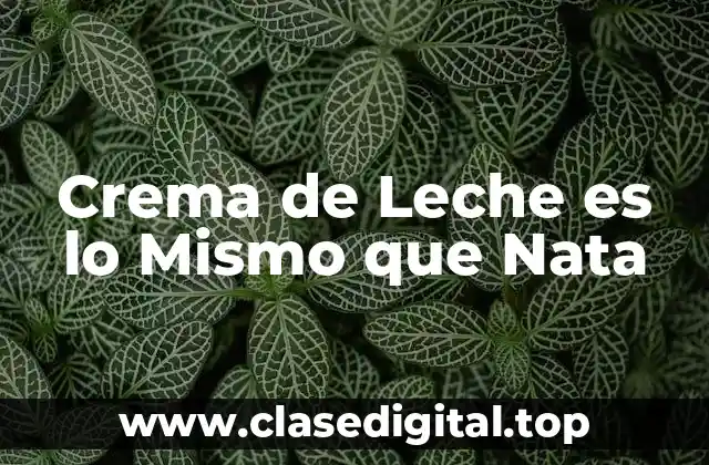 Crema de Leche es lo Mismo que Nata
