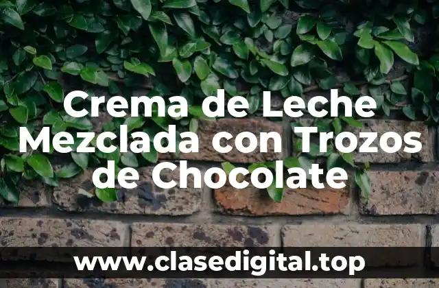 Crema de Leche Mezclada con Trozos de Chocolate