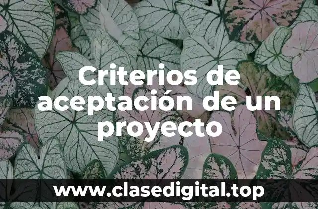 Ejemplos de criterios de aceptación de un proyecto