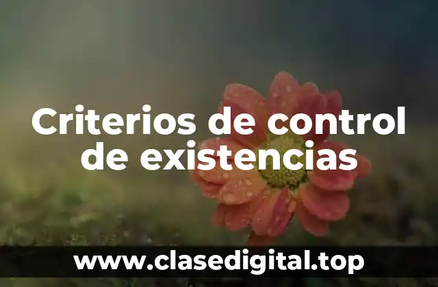Criterios de control de existencias