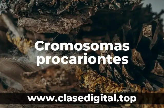 Cromosomas procariontes