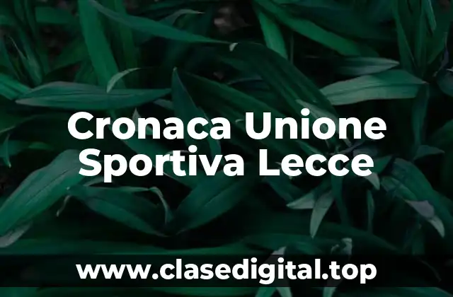 La Unione Sportiva Lecce: Un equipo con una rica historia en el fútbol italiano