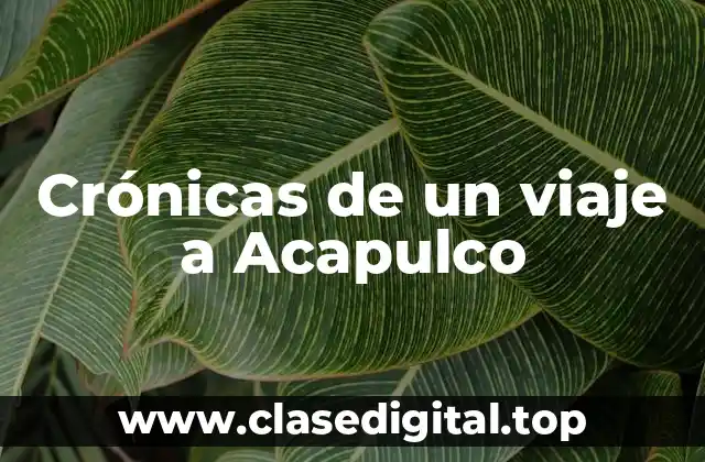 Ejemplos de crónicas de un viaje a Acapulco