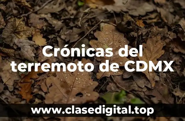 Ejemplos de terremotos