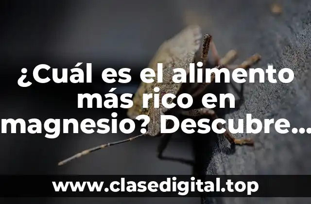 ¿Cuál es el alimento más rico en magnesio? Descubre los alimentos que te brindan una dosis saludable de magnesio