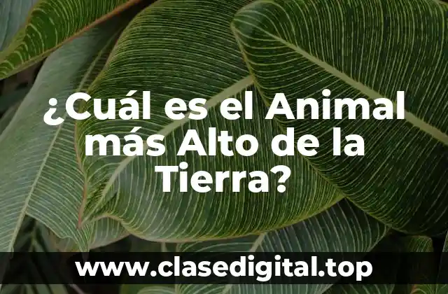 ¿Qué son los Animales Altos y por qué son Importantes?