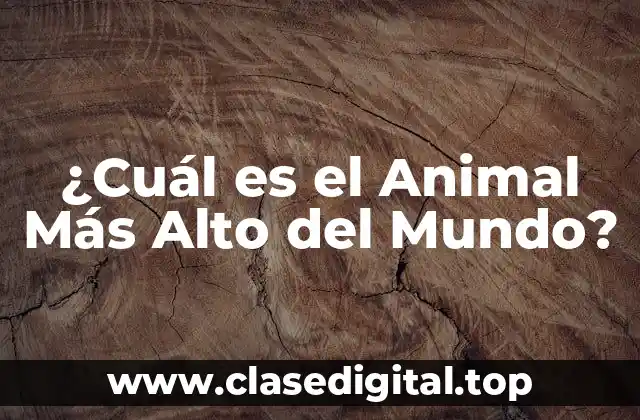 ¿Cuál es el Animal Más Alto del Mundo?