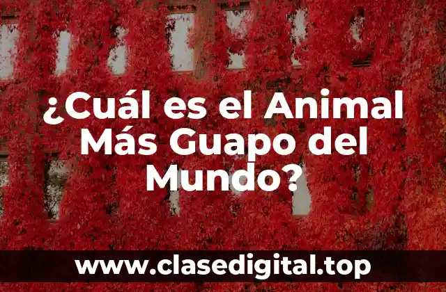 ¿Cuál es el Animal Más Guapo del Mundo?
