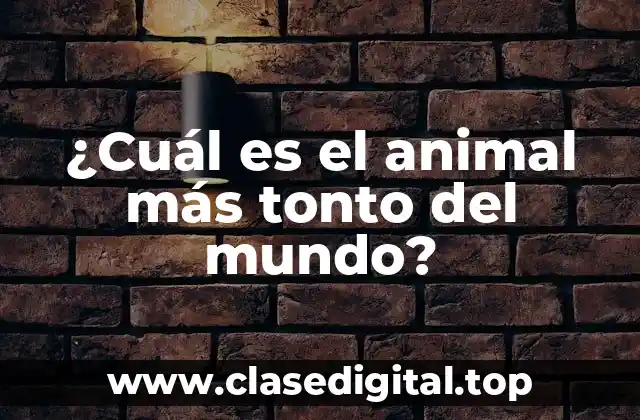 ¿Cuál es el animal más tonto del mundo?