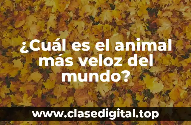 Los contendientes más rápidos - ¿Quiénes son los animales que se disputan el título?