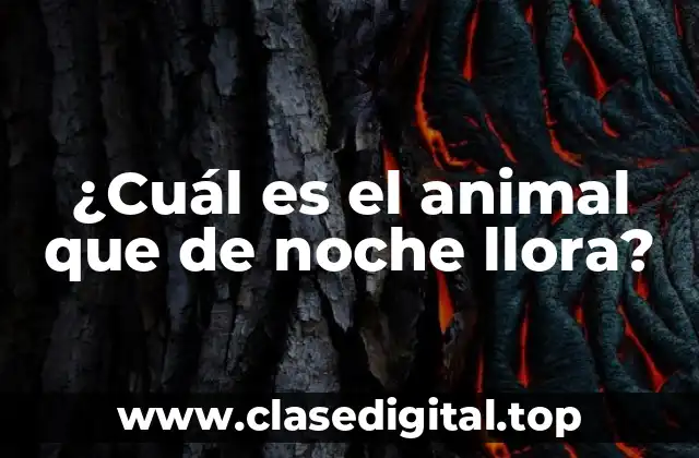 ¿Cuál es el animal que de noche llora?