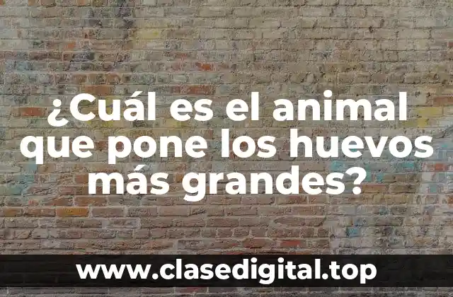 ¿Cuál es el animal que pone los huevos más grandes?