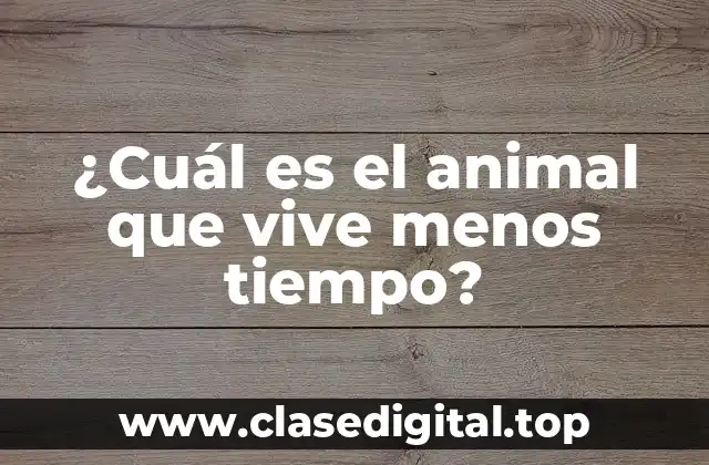 Los Mayflies: los campeones de la vida breve