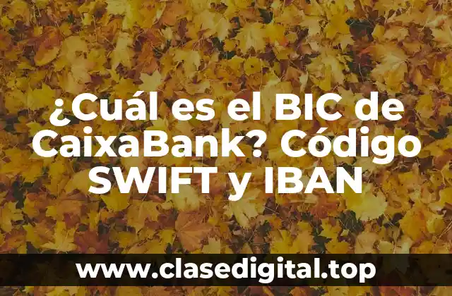 ¿Cuál es el BIC de CaixaBank? Código SWIFT y IBAN