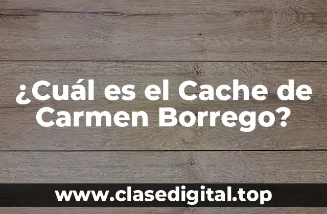 ¿Quién es Carmen Borrego?