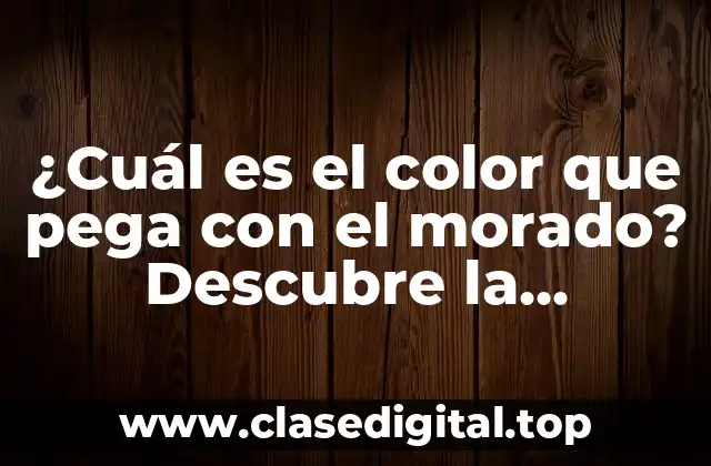 ¿Cuál es el color que pega con el morado? Descubre la respuesta