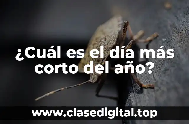 ¿Qué es el solsticio de invierno?