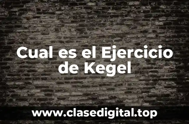 ¿Qué son los Músculos del Suelo Pélvico?