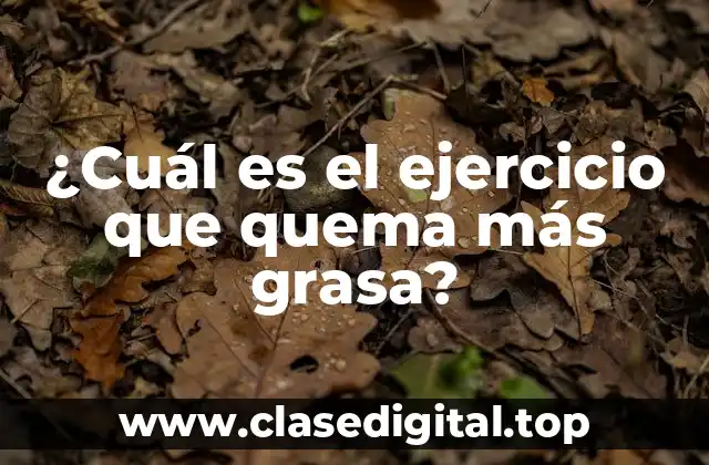 ¿Cuál es el ejercicio que quema más grasa?