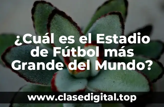 ¿Cuál es el Estadio de Fútbol más Grande del Mundo?