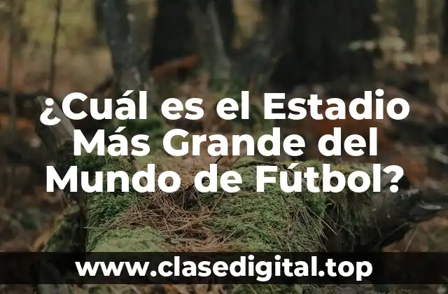¿Cuál es el Estadio Más Grande del Mundo de Fútbol?