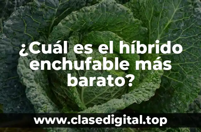 Ventajas de los híbridos enchufables