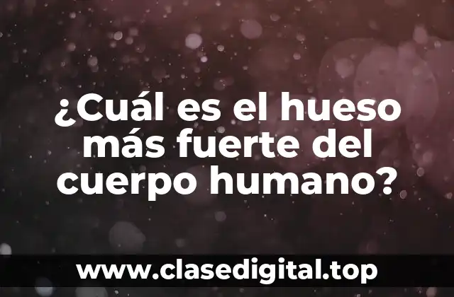 ¿Cuál es el hueso más fuerte del cuerpo humano?