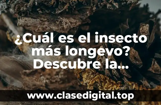 ¿Cuál es el insecto más longevo? Descubre la respuesta sorprendente