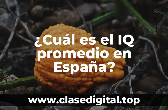 ¿Qué es el IQ y cómo se mide?