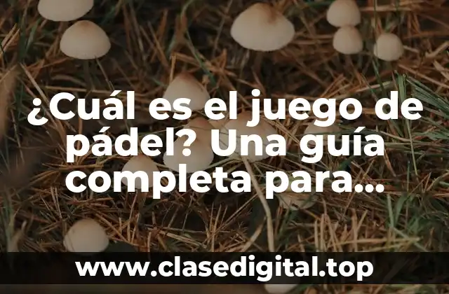 ¿Cuál es el juego de pádel? Una guía completa para principiantes y expertos