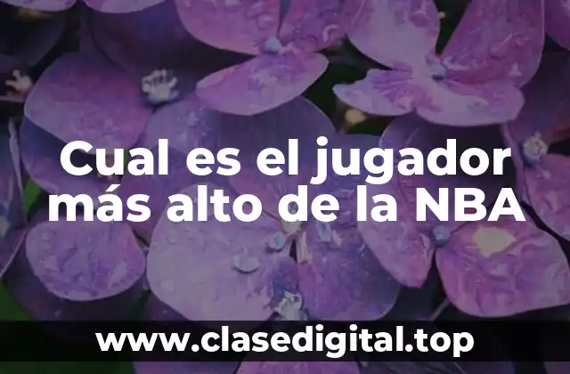 Cual es el jugador más alto de la NBA